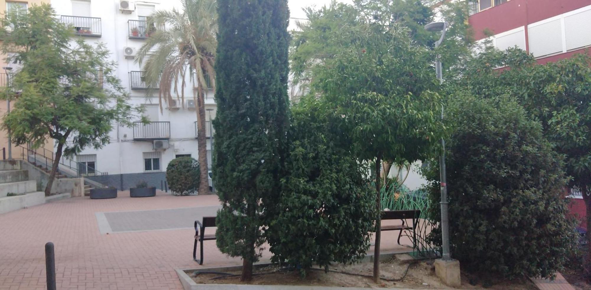 Esencia I * Jaén